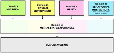 The agency domain and behavioral interactions: assessing positive animal welfare using the Five Domains Model